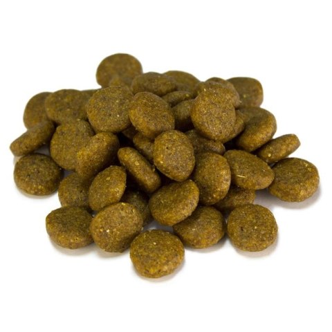 Arquivet Adult jagnięcina z ryżem 3 kg Arquivet Arquivet Adult jagnięcina z ryżem 3 kg Arquivet