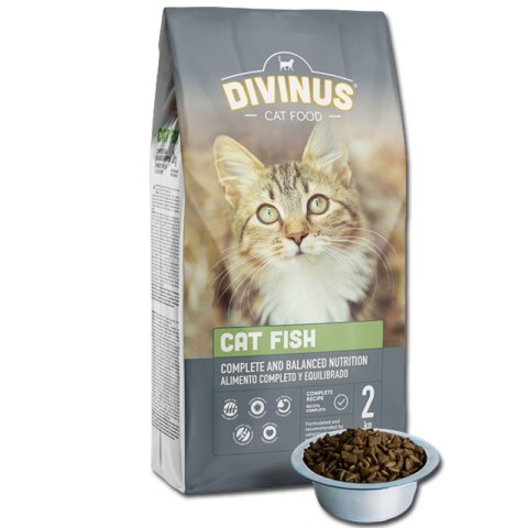 PRÓBKA Divinus Cat Fish 100g PRÓBKA Divinus Cat Fish 100g