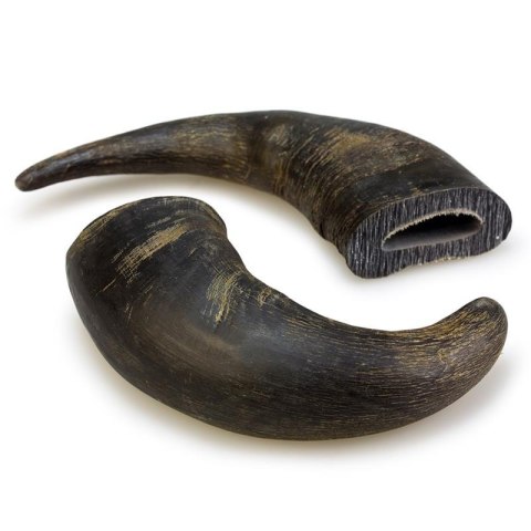 ARQUIVET Duży róg bawoli 20 cm - 1 szt Arquivet ARQUIVET Duży róg bawoli 20 cm - 1 szt Arquivet