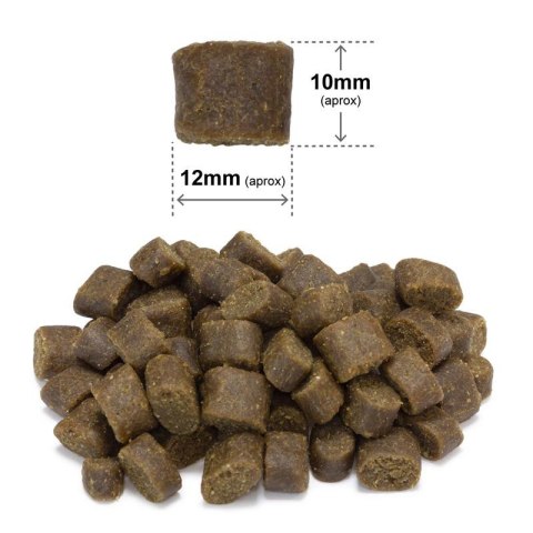 ARQUIVET FRESH Półwilgotna karma dla psa kurczak i ryba oceaniczna 10 kg Arquivet Fresh ARQUIVET FRESH Półwilgotna karma dla psa kurczak i ryba oceaniczna 10 kg Arquivet Fresh