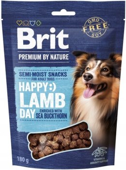 BRIT PREMIUM DOG SNACK LAMB WITH SEABUCKTHORN 180g Brit