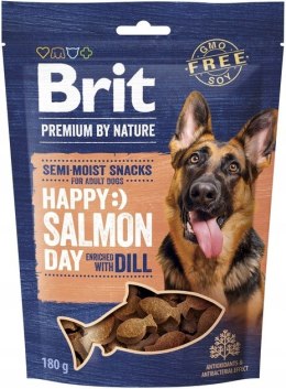 BRIT PREMIUM DOG SNACK SALMON WITH DILL 180g Brit
