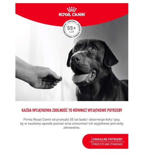 ROYAL CANIN Digestion Adult Dog Supplements 160g Royal Canin ROYAL CANIN Digestion Adult Dog Supplements 160g Royal Canin