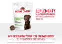 ROYAL CANIN Digestion Adult Dog Supplements 160g Royal Canin