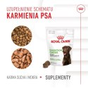 ROYAL CANIN Digestion Adult Dog Supplements 160g Royal Canin