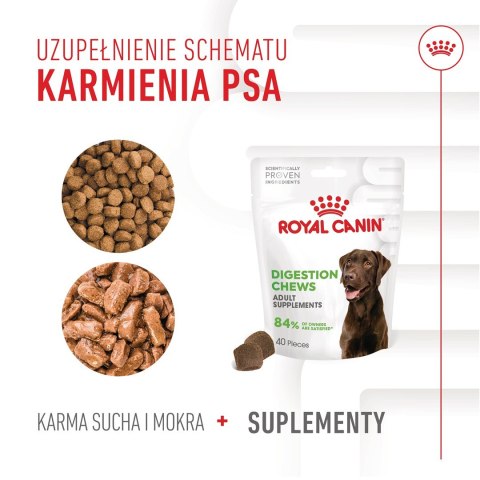ROYAL CANIN Digestion Adult Dog Supplements 160g Royal Canin ROYAL CANIN Digestion Adult Dog Supplements 160g Royal Canin