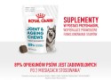 ROYAL CANIN Joint&Ageing Adult Dog Supplements 240g Royal Canin
