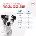 ROYAL CANIN Training Treat Dog 110g Royal Canin