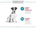 ROYAL CANIN Training Treat Dog 110g Royal Canin