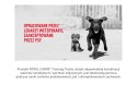 ROYAL CANIN Training Treat Dog 110g Royal Canin