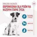 ROYAL CANIN Training Treat Dog 110g Royal Canin