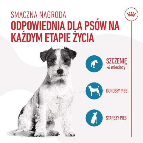 ROYAL CANIN Training Treat Dog 110g Royal Canin ROYAL CANIN Training Treat Dog 110g Royal Canin