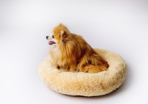 GO GIFT Shaggy kremowy XL - legowisko dla zwierząt - 80 x 83 x 10 cm Go Gift GO GIFT Shaggy kremowy XL - legowisko dla zwierząt - 80 x 83 x 10 cm Go Gift