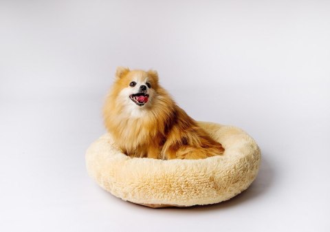 GO GIFT Shaggy kremowy XL - legowisko dla zwierząt - 80 x 83 x 10 cm Go Gift GO GIFT Shaggy kremowy XL - legowisko dla zwierząt - 80 x 83 x 10 cm Go Gift