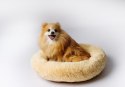 GO GIFT Shaggy kremowy XL - legowisko dla zwierząt - 80 x 83 x 10 cm Go Gift