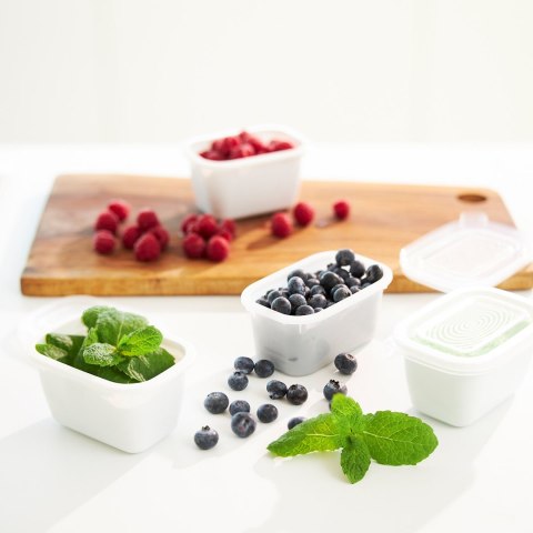Rotho Freeze zestaw pojemników do mrożenia 3 x 1l Rotho Rotho Freeze zestaw pojemników do mrożenia 3 x 1l Rotho