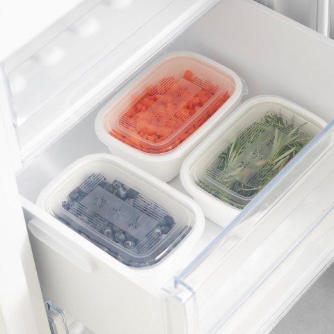 Rotho Freeze zestaw pojemników do mrożenia 3 x 1l Rotho Rotho Freeze zestaw pojemników do mrożenia 3 x 1l Rotho