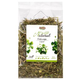 ALEGIA Natural Koniczyna suszona 100g Alegia