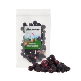 FACTORYHERBS Borówka amerykańska liofilizowana 10g Factoryherbs