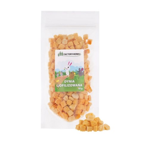 FACTORYHERBS Dynia liofilizowana 10g Factoryherbs FACTORYHERBS Dynia liofilizowana 10g Factoryherbs