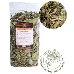 FACTORYHERBS Gosp.Zielarskie BABKA SZEROKOLISTNA500g Factoryherbs