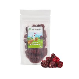 FACTORYHERBS Jeżyna liofilizowana 20g Factoryherbs