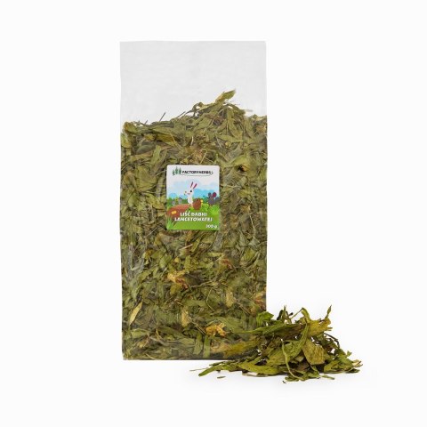 FACTORYHERBS Liść babki lancetowatej XL 300 g Factoryherbs FACTORYHERBS Liść babki lancetowatej XL 300 g Factoryherbs