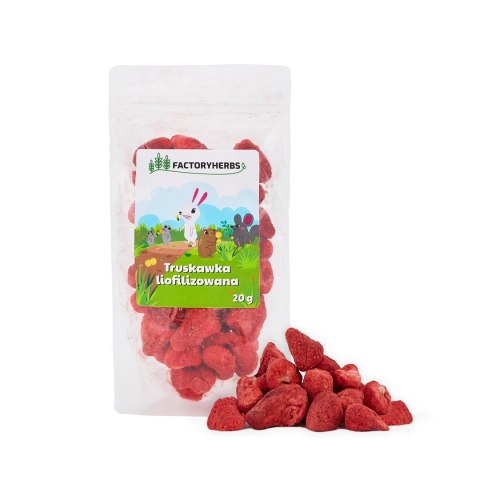 FACTORYHERBS Truskawka liofilizowana 20g Factoryherbs FACTORYHERBS Truskawka liofilizowana 20g Factoryherbs