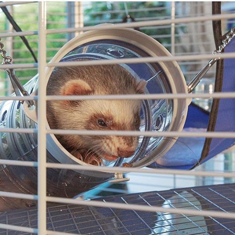 FERPLAST Furet Tower - klatka dla fretek FERPLAST FERPLAST Furet Tower - klatka dla fretek FERPLAST