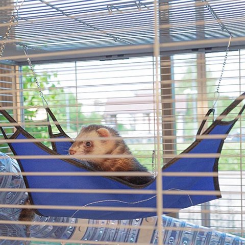 FERPLAST Furet Tower - klatka dla fretek FERPLAST FERPLAST Furet Tower - klatka dla fretek FERPLAST