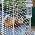 FERPLAST Furet Tower - klatka dla fretek FERPLAST