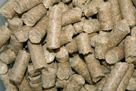 KERBL Smakołyki dla konia Delizia Classic, lukrecja, 1 kg KERBL KERBL Smakołyki dla konia Delizia Classic, lukrecja, 1 kg KERBL
