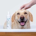 VetExpert Hypoallergenic Shampoo - Pielęgnacja dla psów i kotów - 250ml VetExpert