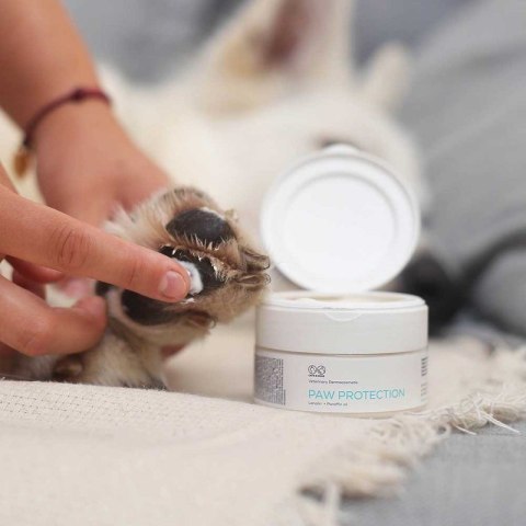 VetExpert Paw Protection - Pielęgnacja dla psów i kotów - 75ml VetExpert VetExpert Paw Protection - Pielęgnacja dla psów i kotów - 75ml VetExpert