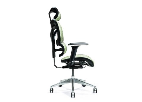 Ergonomiczny fotel biurowy ERGO 600 zielony BEMONDI Ergonomiczny fotel biurowy ERGO 600 zielony BEMONDI