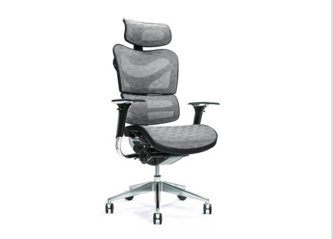 Ergonomiczny fotel biurowy ERGO 700 szary BEMONDI Ergonomiczny fotel biurowy ERGO 700 szary BEMONDI