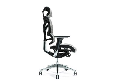 Ergonomiczny fotel biurowy ERGO 700 szary BEMONDI Ergonomiczny fotel biurowy ERGO 700 szary BEMONDI