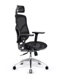 Fotel gamingowy DIABLO V-BASIC fotel czarno-czarny DIABLO CHAIRS