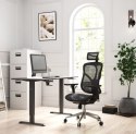Fotel gamingowy DIABLO V-BASIC fotel czarno-czarny DIABLO CHAIRS