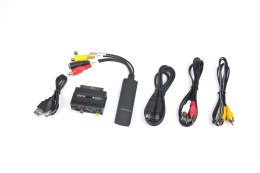 Adapter GEMBIRD UVG-002 (USB M - RCA, S-Video F; 0,50m; kolor czarny) GEMBIRD