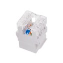 Q-LANTEC Moduł keystone RJ45 UTP kat.5e Q-LANTEC
