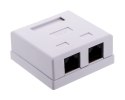 ALANTEC Gniazdo natynkowe UTP kat.6 2xRJ45 A-LAN
