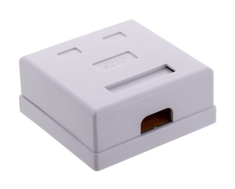 ALANTEC Gniazdo natynkowe UTP kat.6 2xRJ45 A-LAN ALANTEC Gniazdo natynkowe UTP kat.6 2xRJ45 A-LAN