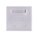 ALANTEC Gniazdo natynkowe UTP kat.6 2xRJ45 A-LAN