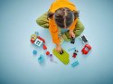 LEGO DUPLO 10454 Klub przyjaciół Myszki Miki i samochód Lego