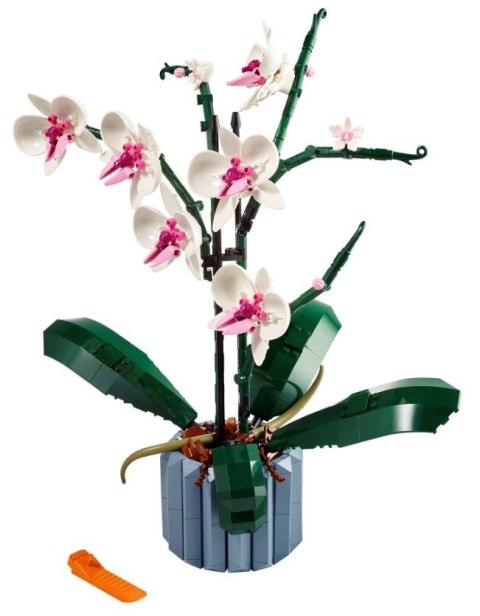 LEGO Icons 10311 Orchidea Lego LEGO Icons 10311 Orchidea Lego