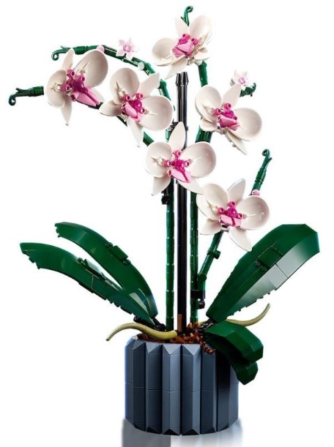 LEGO Icons 10311 Orchidea Lego LEGO Icons 10311 Orchidea Lego