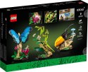LEGO Ideas 21342 Kolekcja owadów Lego