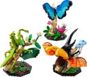 LEGO Ideas 21342 Kolekcja owadów Lego