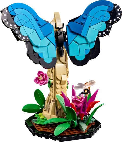 LEGO Ideas 21342 Kolekcja owadów Lego LEGO Ideas 21342 Kolekcja owadów Lego
